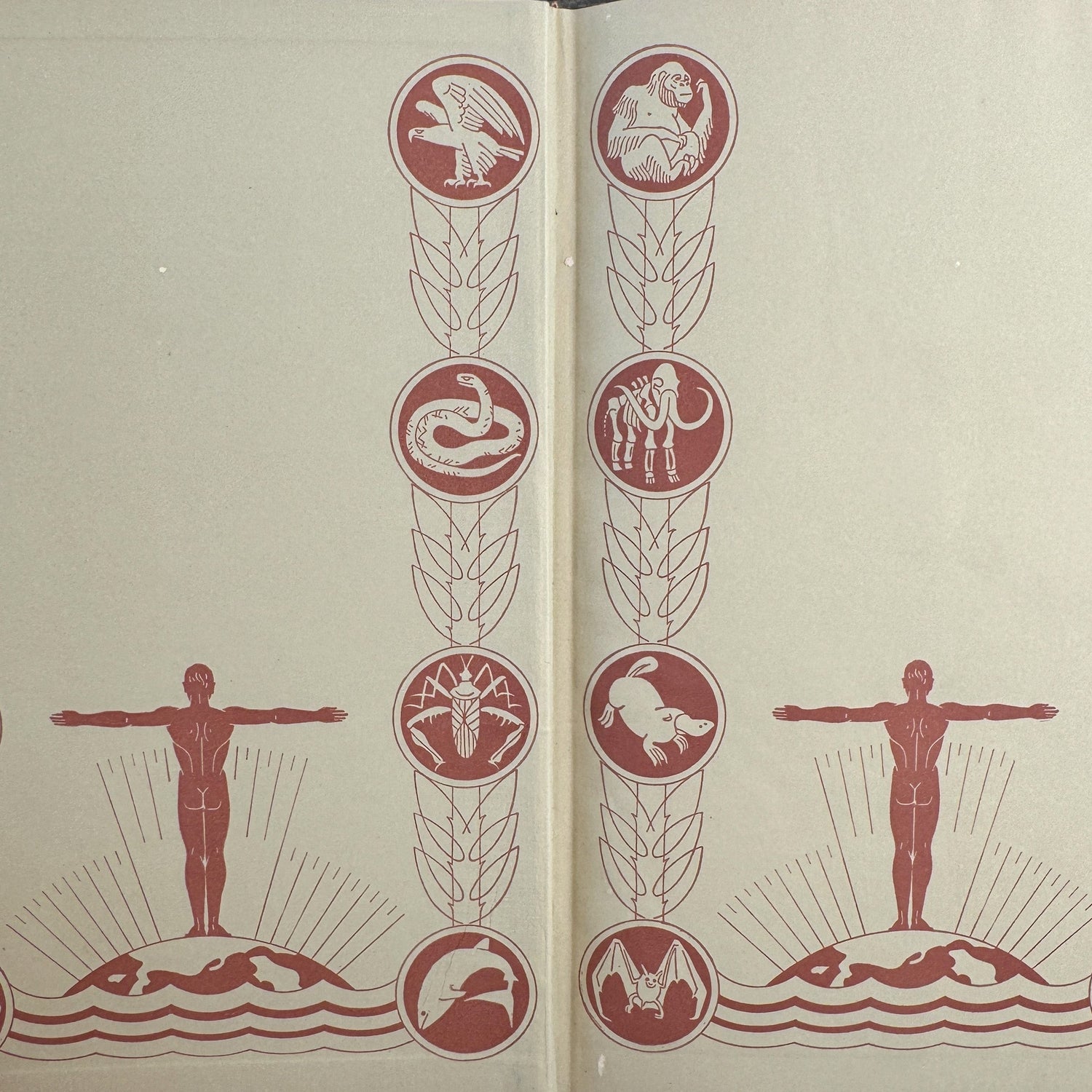 The Science of Life, Volume One, First Edition with Dust Jacket, 1931 - Pretty Old Books