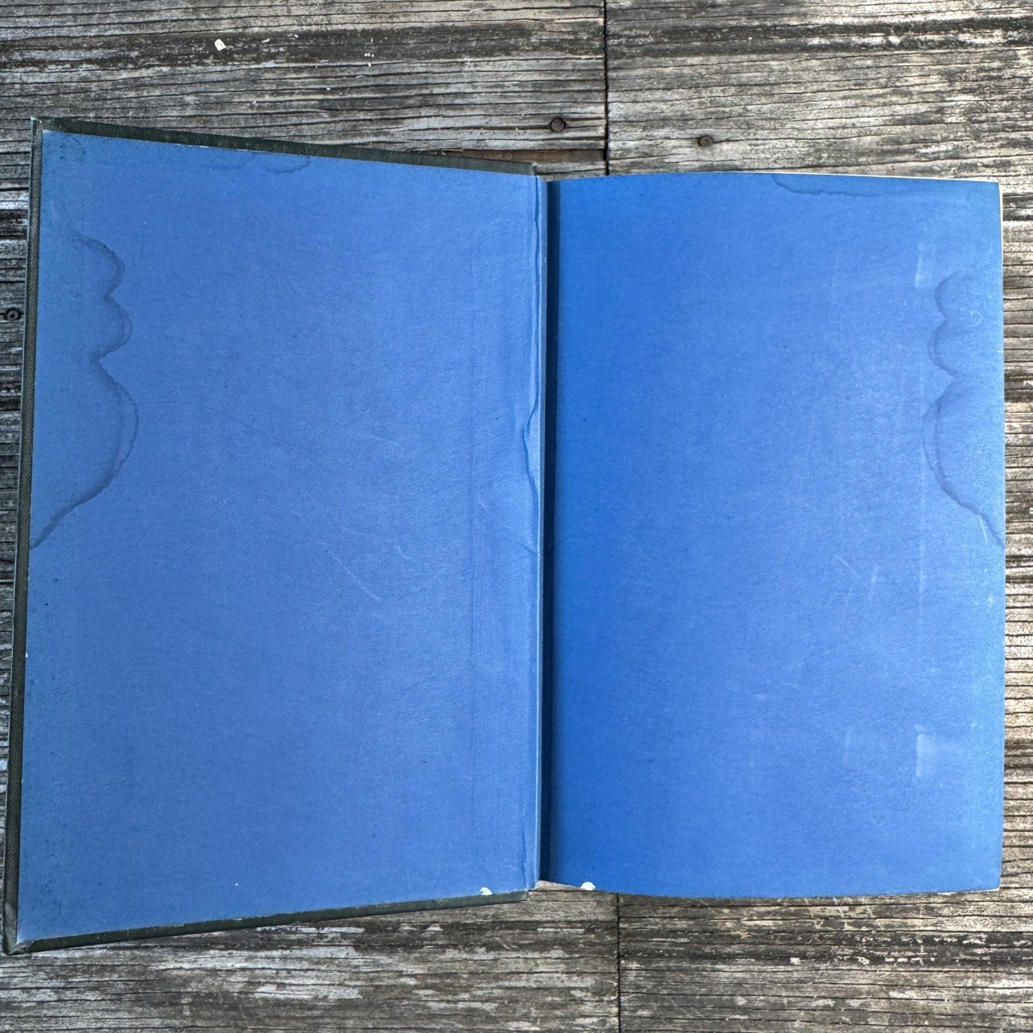 The Study of the Child, 1898 Child Development Guide - Pretty Old Books