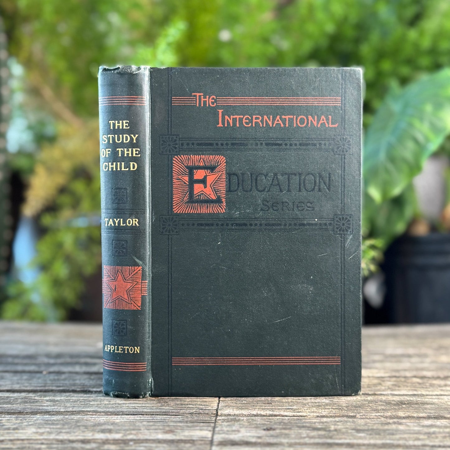 The Study of the Child, 1898 Child Development Guide - Pretty Old Books