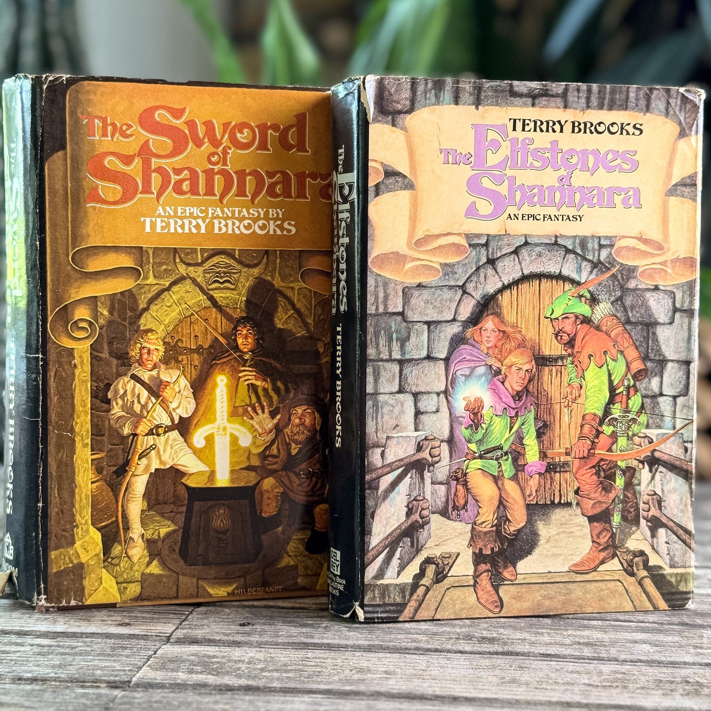 The Sword of Shannara and The Elfstones of Shannara, Terry Brooks, 1977 and 1982, Two-Volume Book Club Set - Pretty Old Books