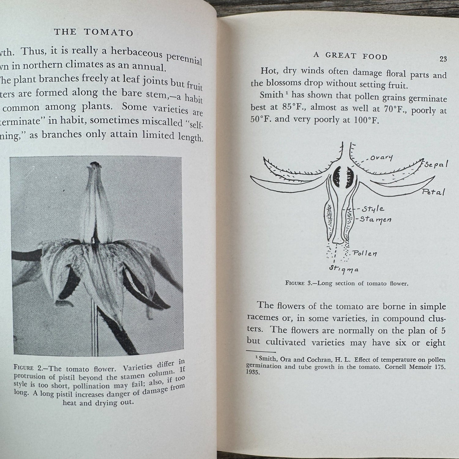The Tomato, Paul Work, 1949 - Pretty Old Books
