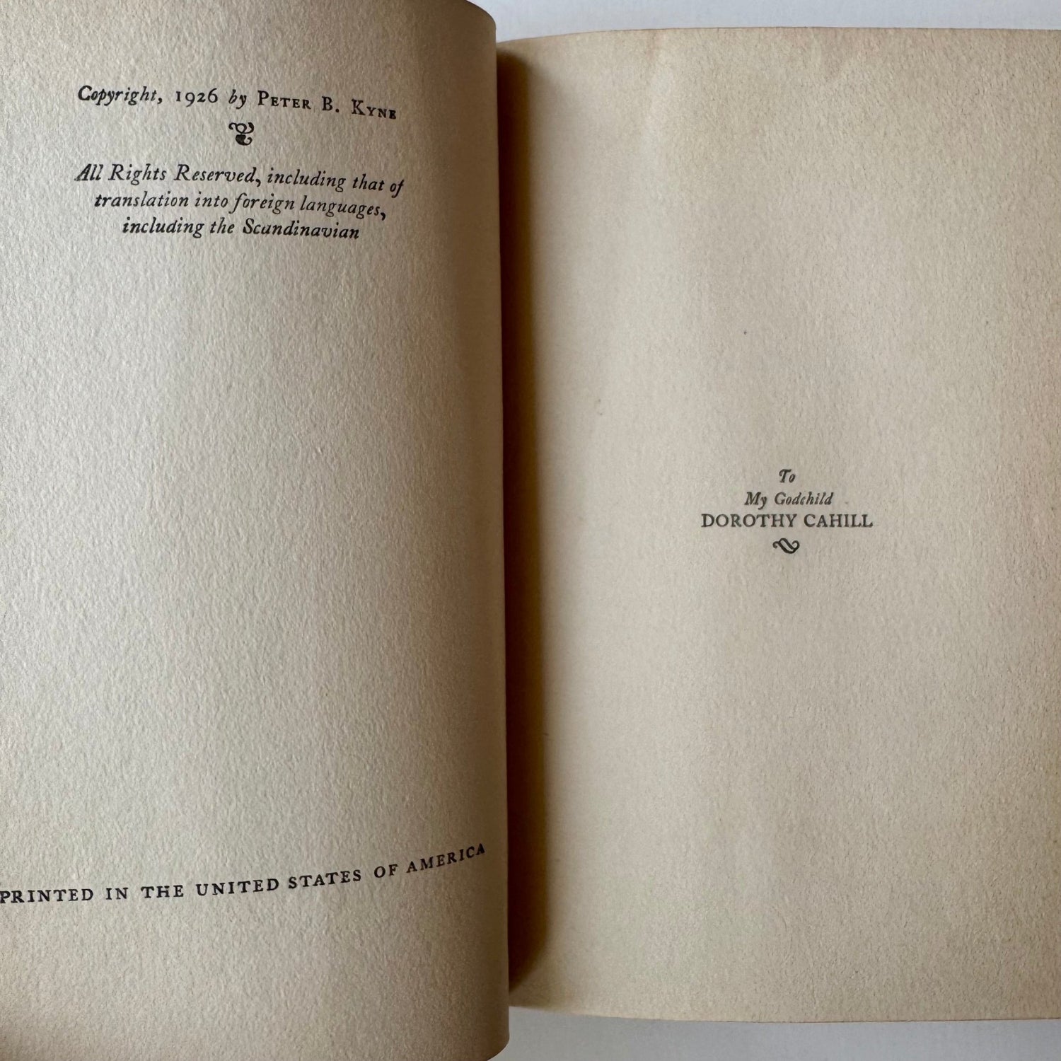The Understanding Heart, Peter B. Kyne, 1926 - Pretty Old Books
