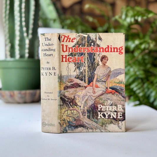 The Understanding Heart, Peter B. Kyne, 1926 - Pretty Old Books
