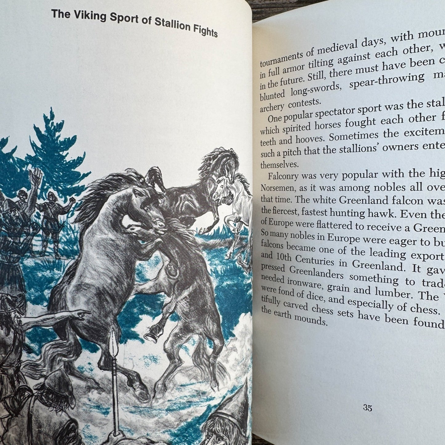 The Viking Explorers, Walter Buehr, 1967 - Pretty Old Books
