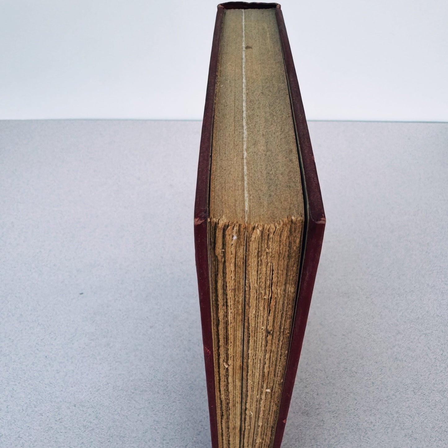 The Washington Senators, 1954, Shirley Povich, Illustrated - Pretty Old Books