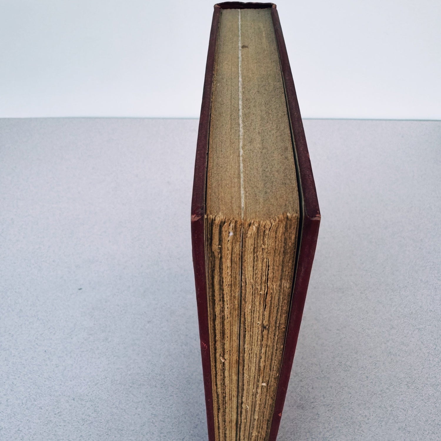 The Washington Senators, 1954, Shirley Povich, Illustrated - Pretty Old Books