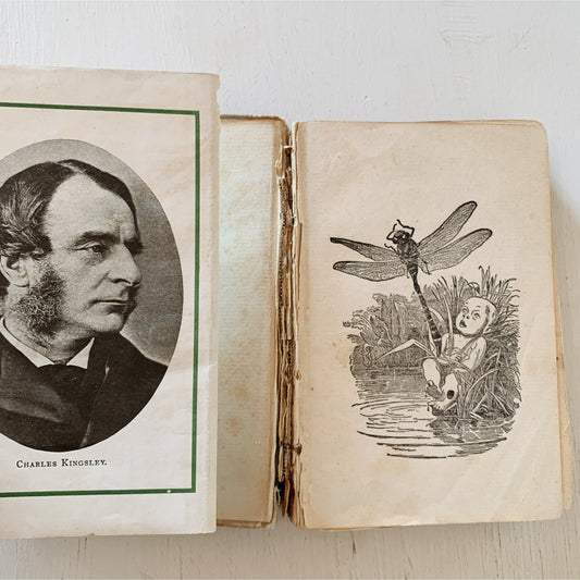 The Water Babies, Charles Kingsley, 1902 Homewood Publishing Ed, Rare - Pretty Old Books