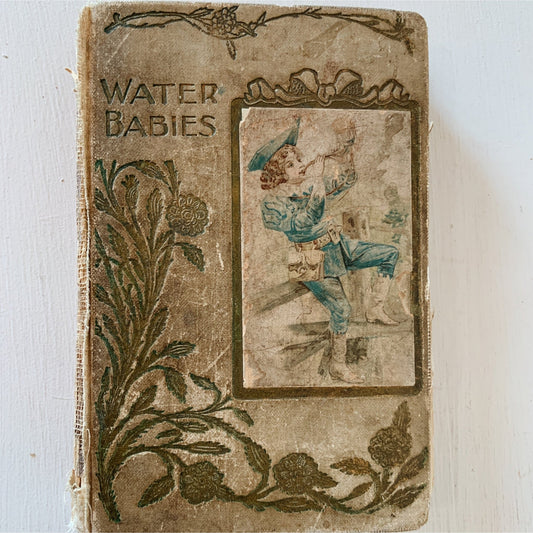The Water Babies, Charles Kingsley, 1902 Homewood Publishing Ed, Rare - Pretty Old Books