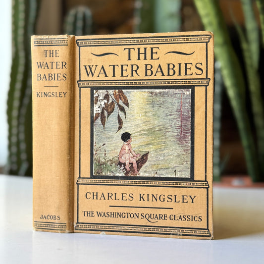 The Water Babies, Charles Kingsley, Antique Washington Square Classics Hardcover - Pretty Old Books