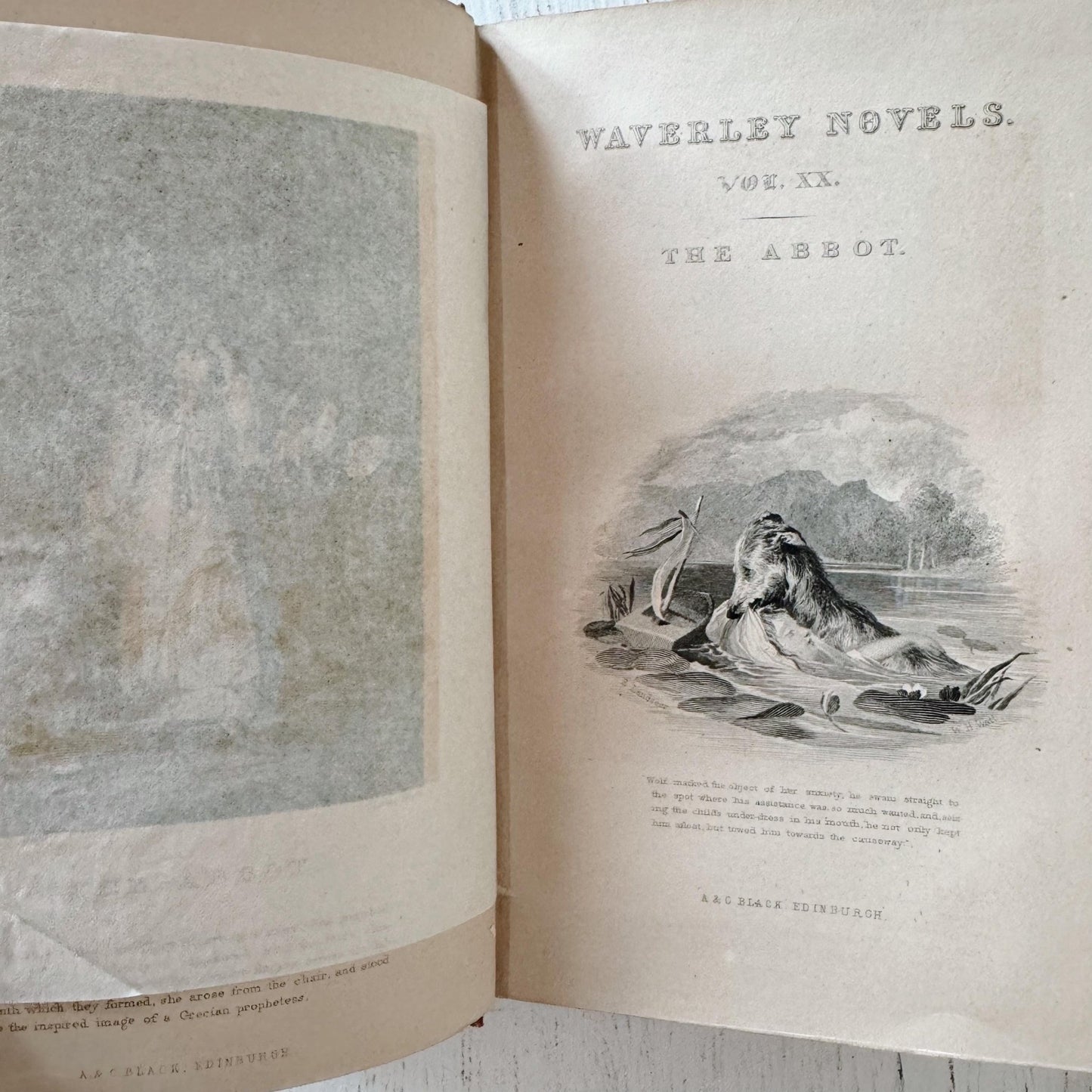 The Waverley Novels, Sir Walter Scott, Antique Shabby Books for Decor - Pretty Old Books