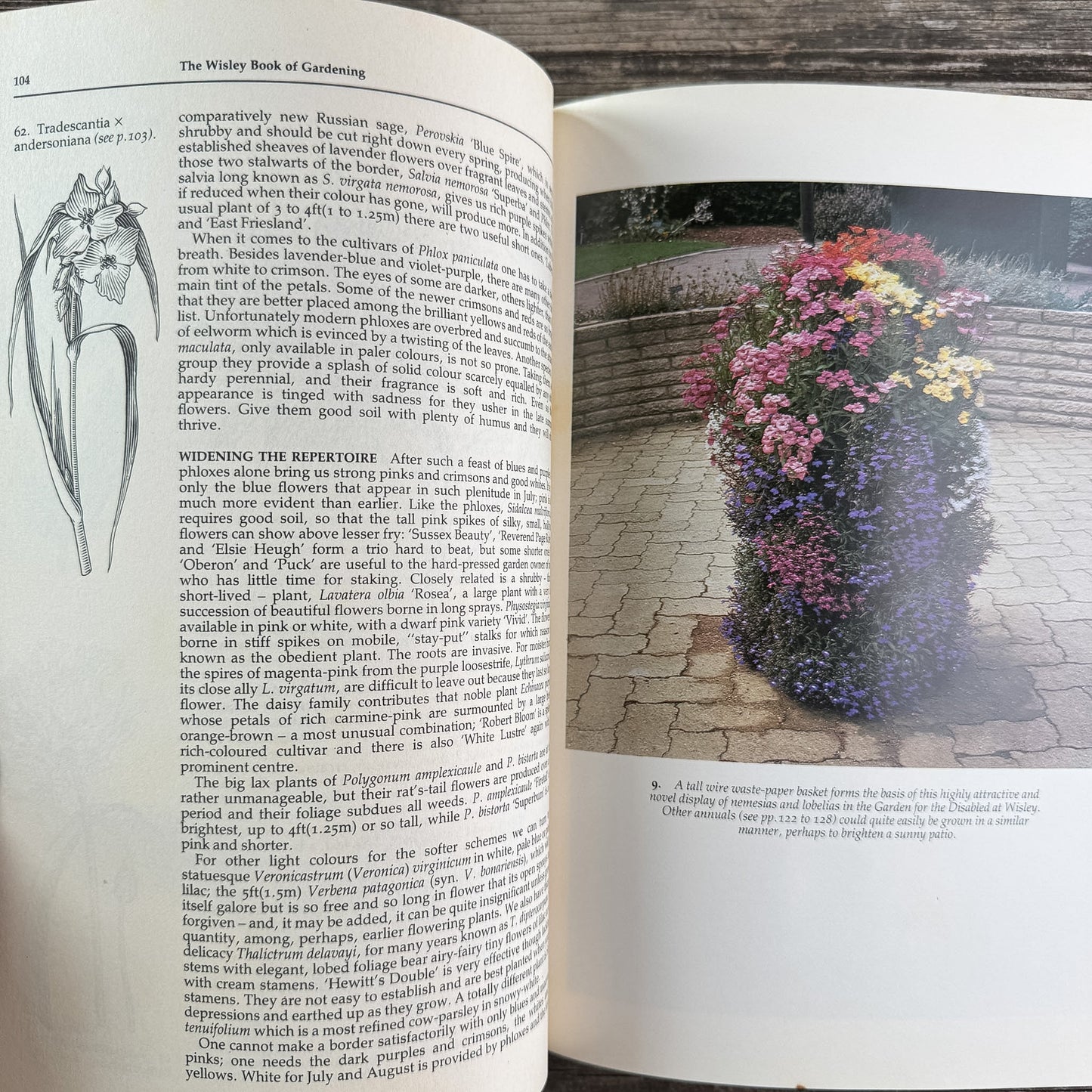 The Wisley Book of Gardening, Royal Horticultural Society, 1983 First American Edition - Pretty Old Books