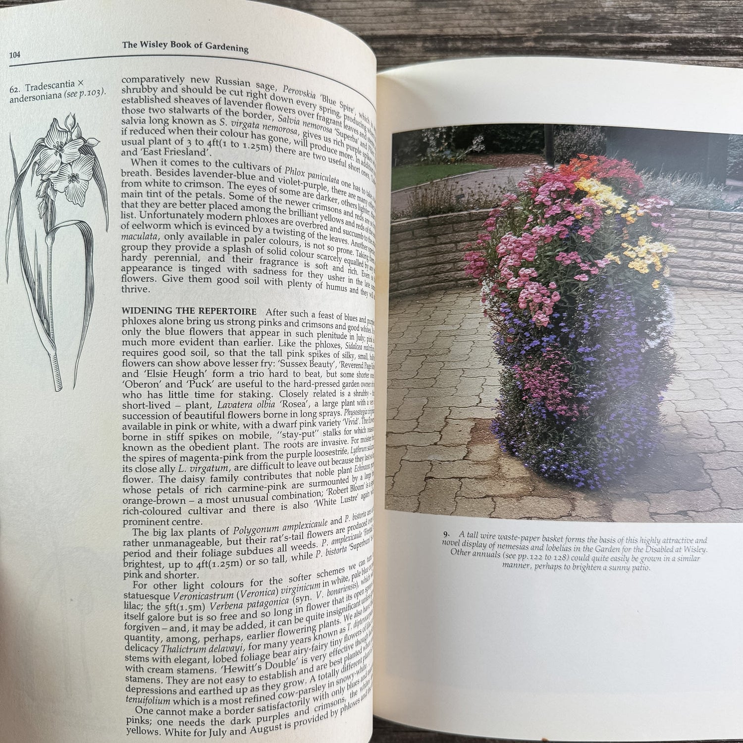 The Wisley Book of Gardening, Royal Horticultural Society, 1983 First American Edition - Pretty Old Books