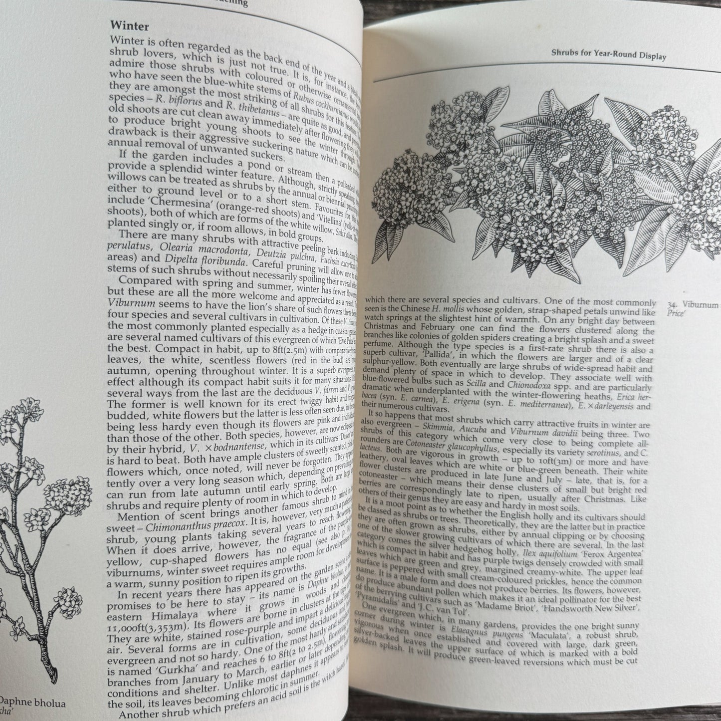 The Wisley Book of Gardening, Royal Horticultural Society, 1983 First American Edition - Pretty Old Books