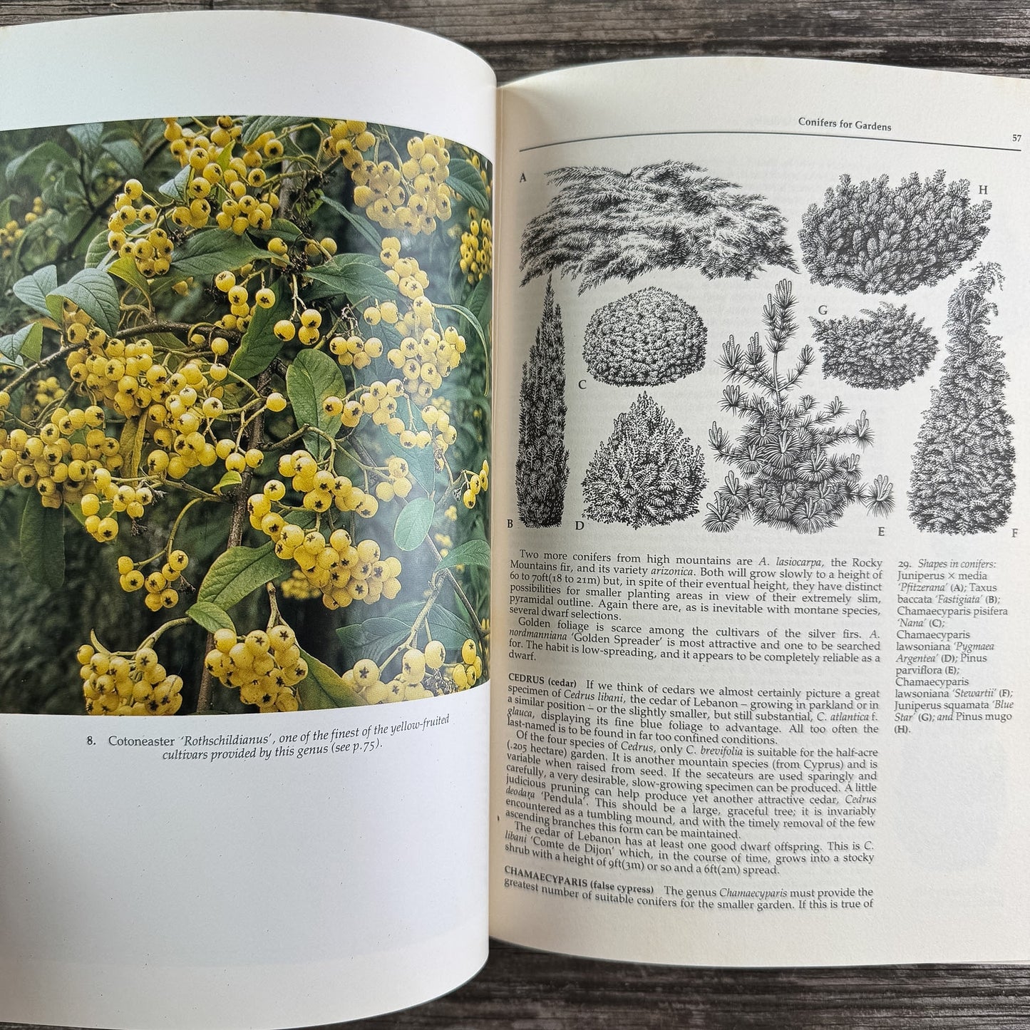 The Wisley Book of Gardening, Royal Horticultural Society, 1983 First American Edition - Pretty Old Books