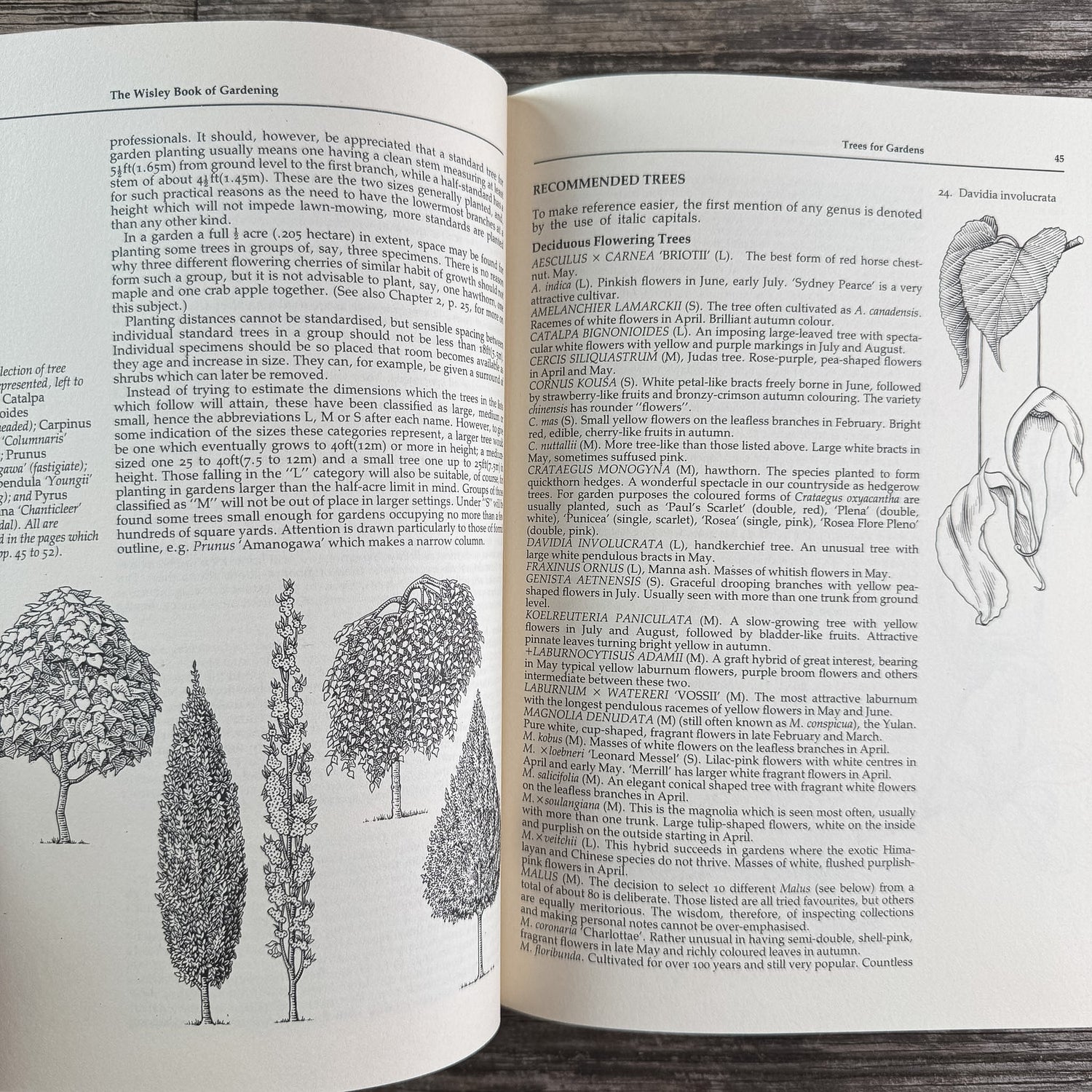 The Wisley Book of Gardening, Royal Horticultural Society, 1983 First American Edition - Pretty Old Books