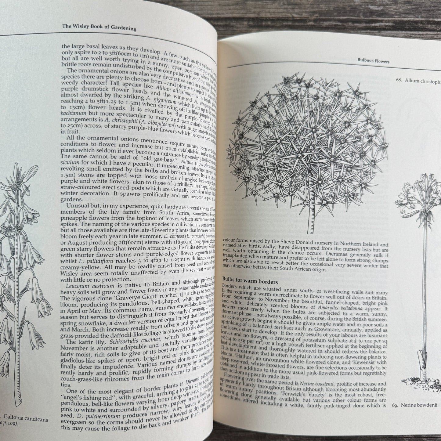The Wisley Book of Gardening, Royal Horticultural Society, 1983 First American Edition - Pretty Old Books