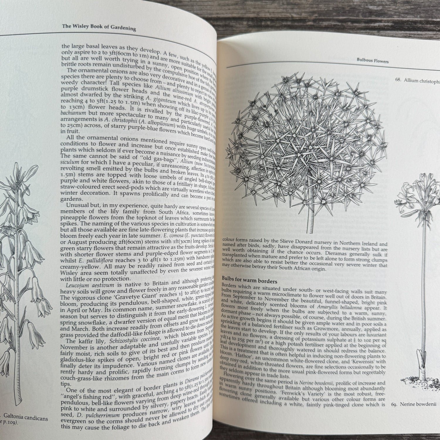 The Wisley Book of Gardening, Royal Horticultural Society, 1983 First American Edition - Pretty Old Books