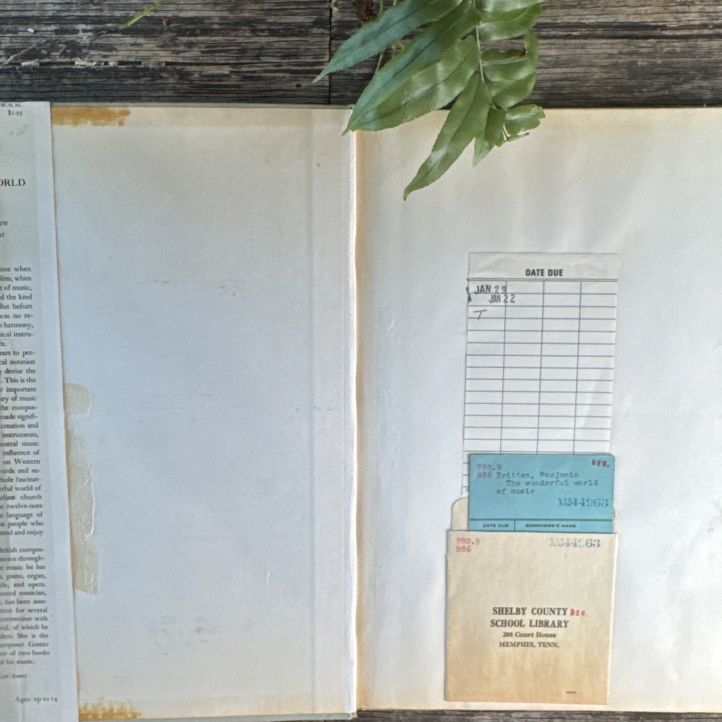 The Wonderful World of Music, Benjamin Britten and Imogen Holst, 1958 - Pretty Old Books
