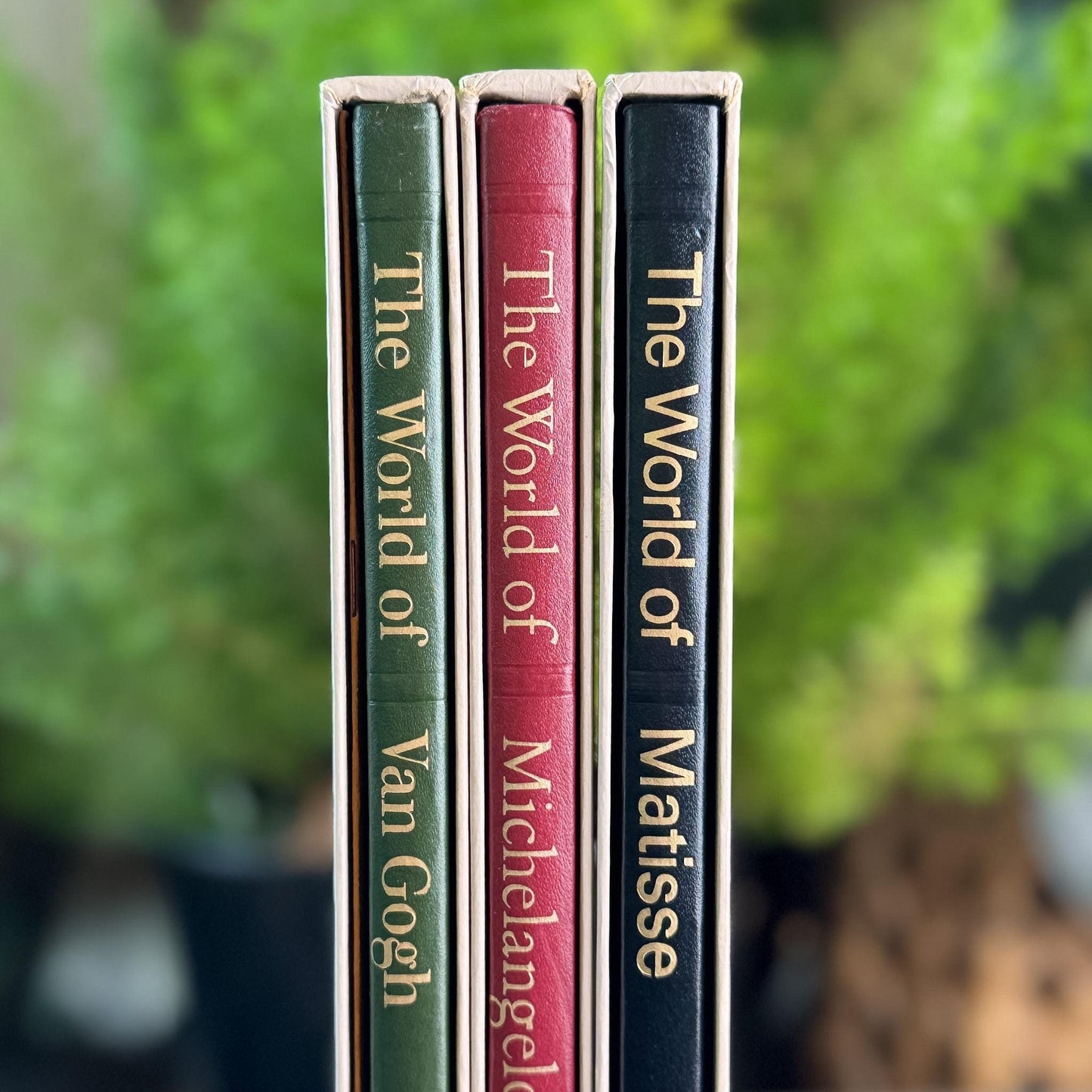 The World of Art: Matisse, Michelangelo, Van Gogh, Slipcased Oversized Books - Pretty Old Books