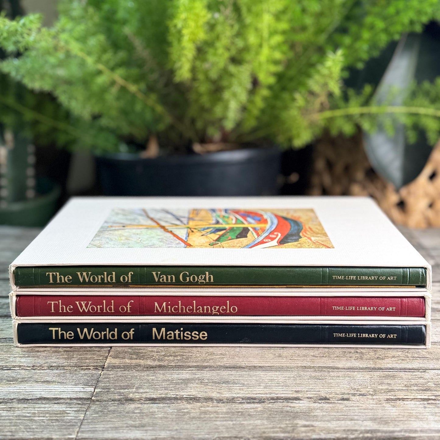 The World of Art: Matisse, Michelangelo, Van Gogh, Slipcased Oversized Books - Pretty Old Books