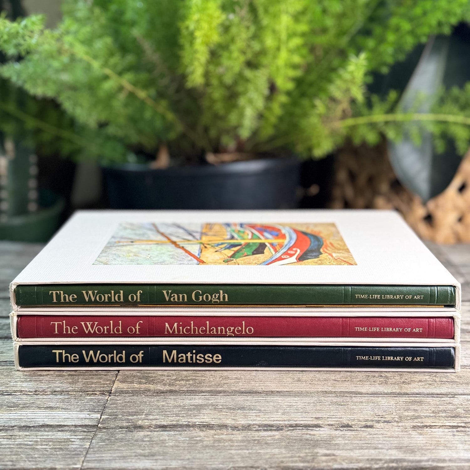 The World of Art: Matisse, Michelangelo, Van Gogh, Slipcased Oversized Books - Pretty Old Books