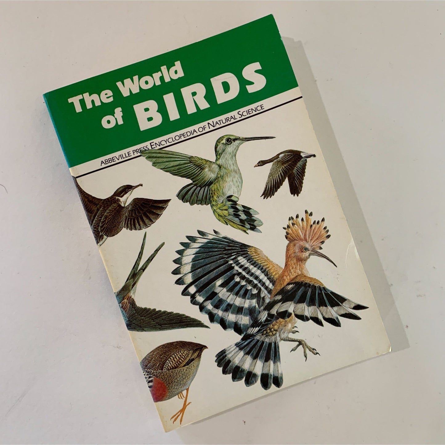 The World of Birds, 1975, Paperback Illustrated Guide - Pretty Old Books