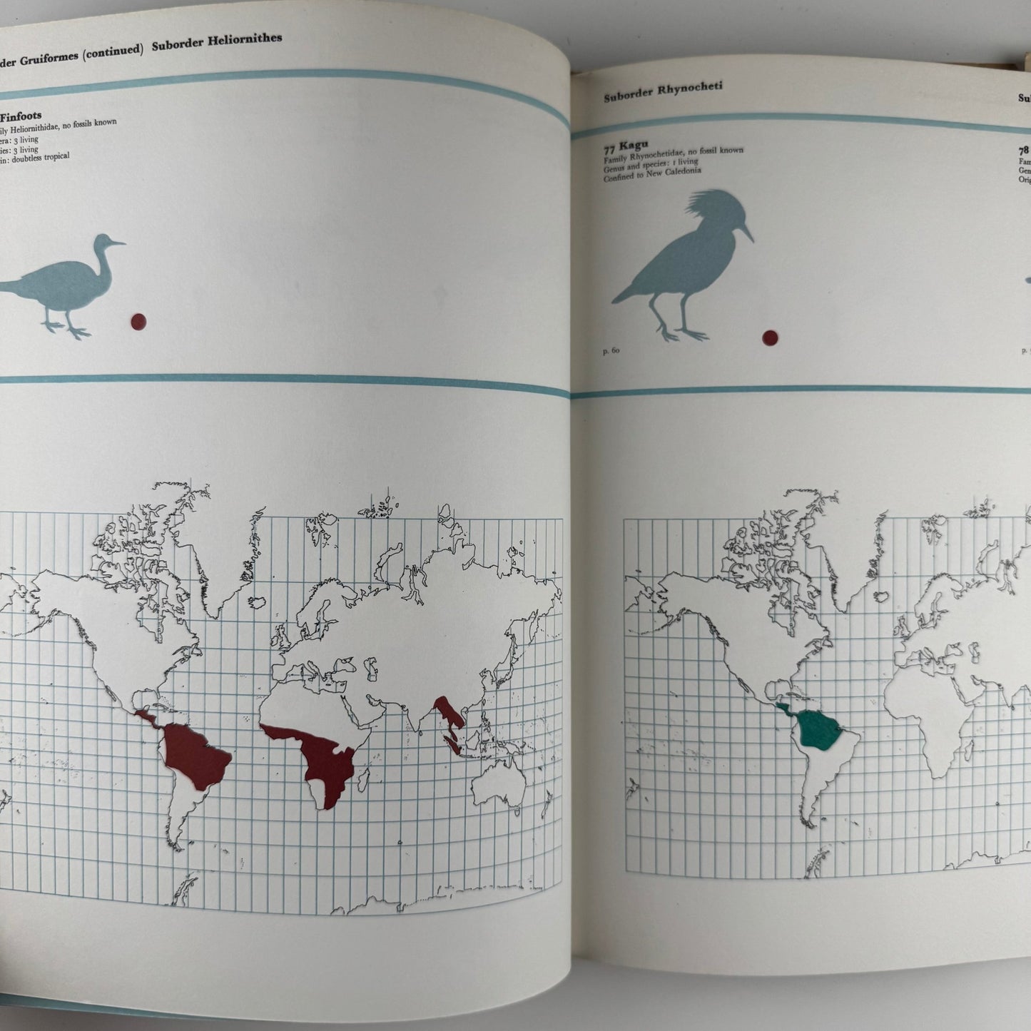 The World of Birds, James Fisher and Roger Tory Peterson, 1964 Illustrated Oversized Hardcover - Pretty Old Books