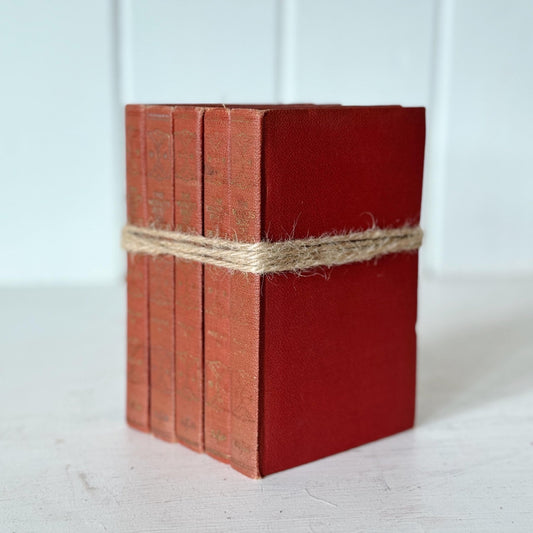 The World's Best One Hundred Detective Stories, 1929, Mini Red Book Set, Antique Books - Pretty Old Books