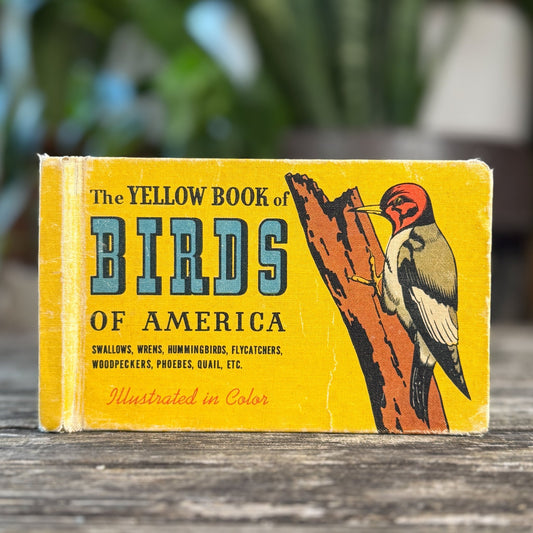 The Yellow Book of Birds, Whitman, 1941, Hardcover - Pretty Old Books