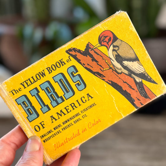 The Yellow Book of Birds, Whitman, 1941, Hardcover - Pretty Old Books