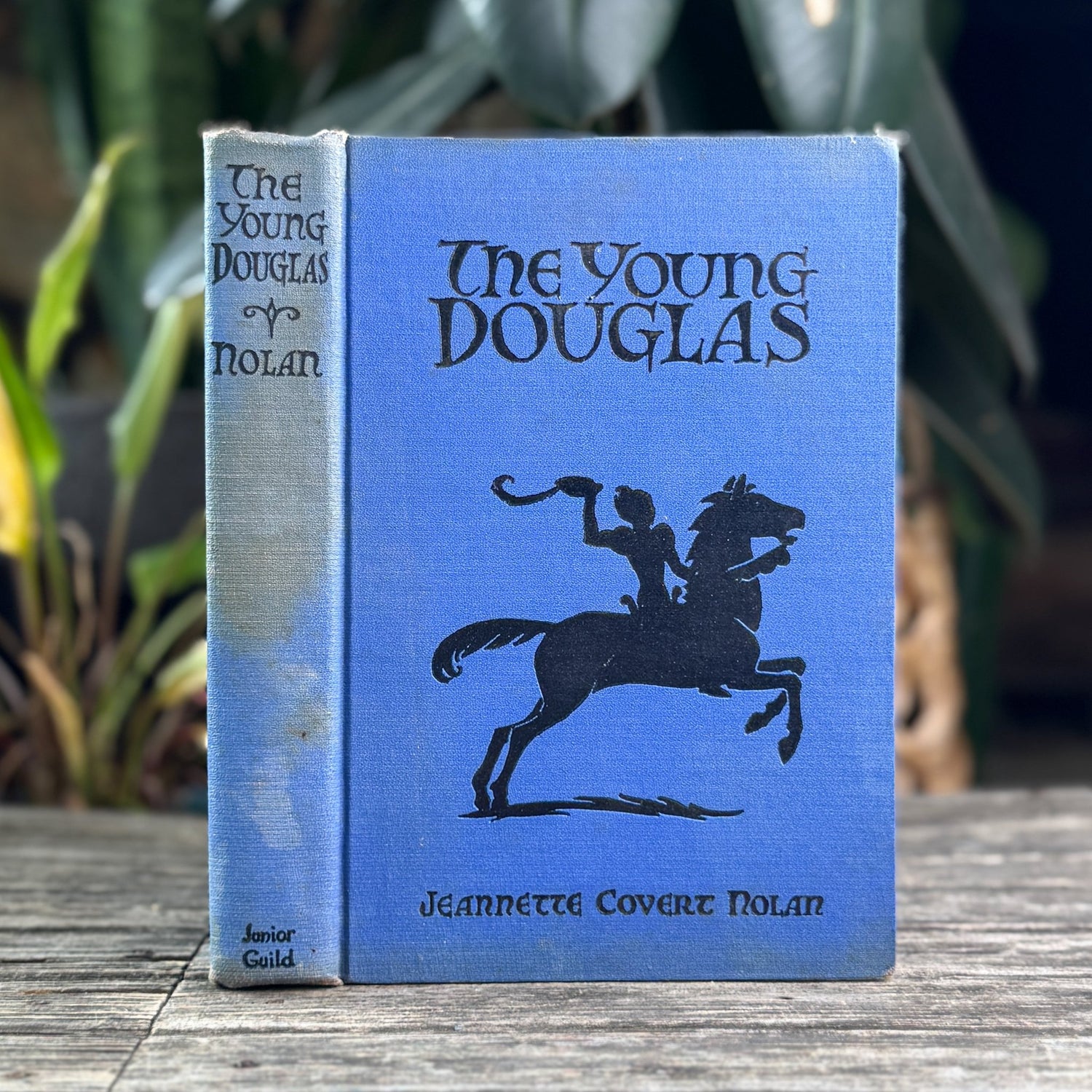 The Young Douglas, Jeannette Covert Nolan, 1934, First Edition - Pretty Old Books