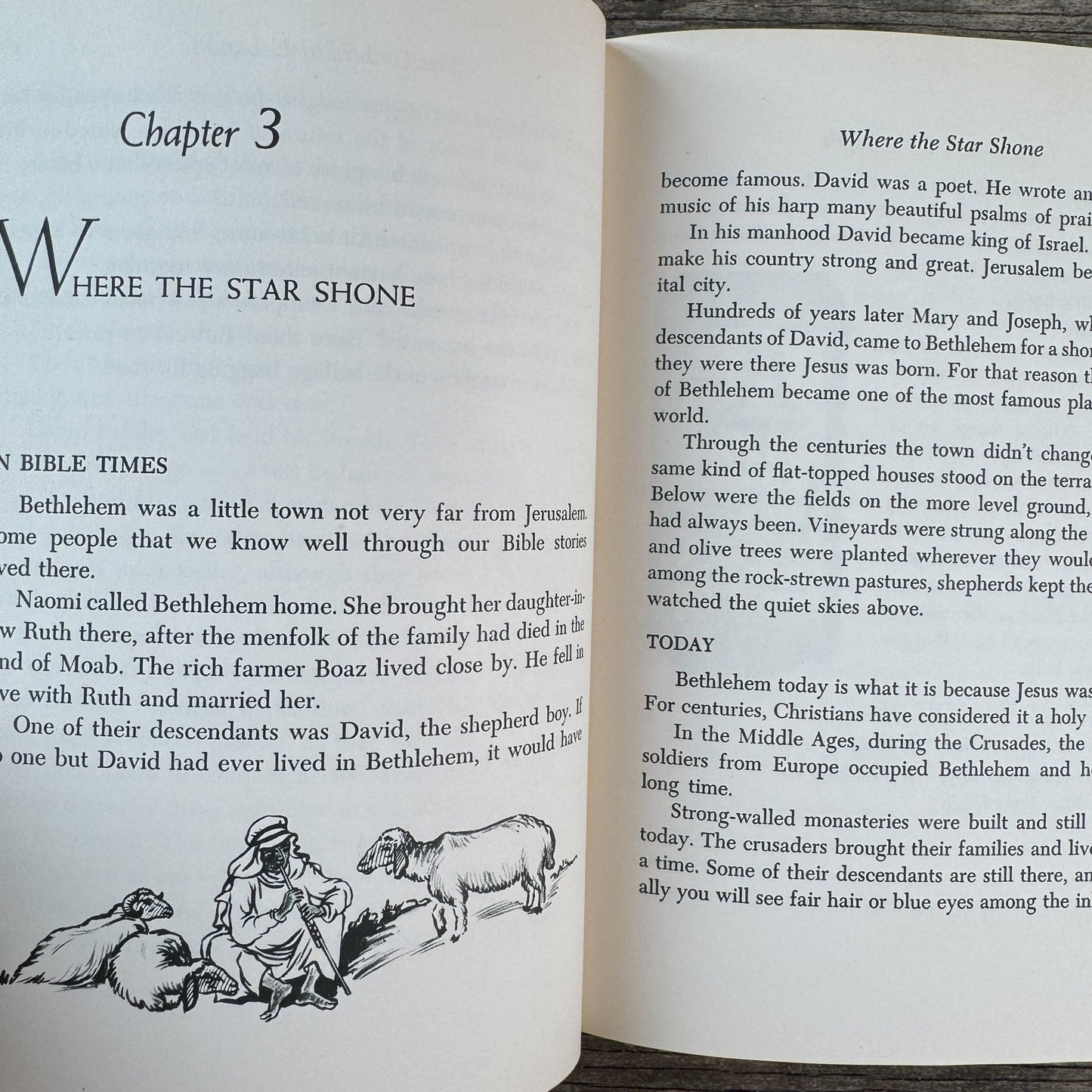 They Live in Bible Lands, Grace W. McGavran, 1950 - Pretty Old Books