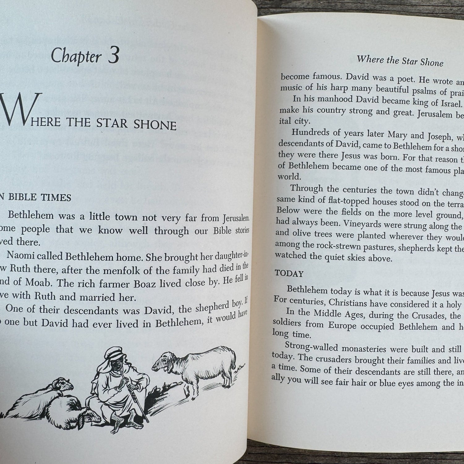 They Live in Bible Lands, Grace W. McGavran, 1950 - Pretty Old Books