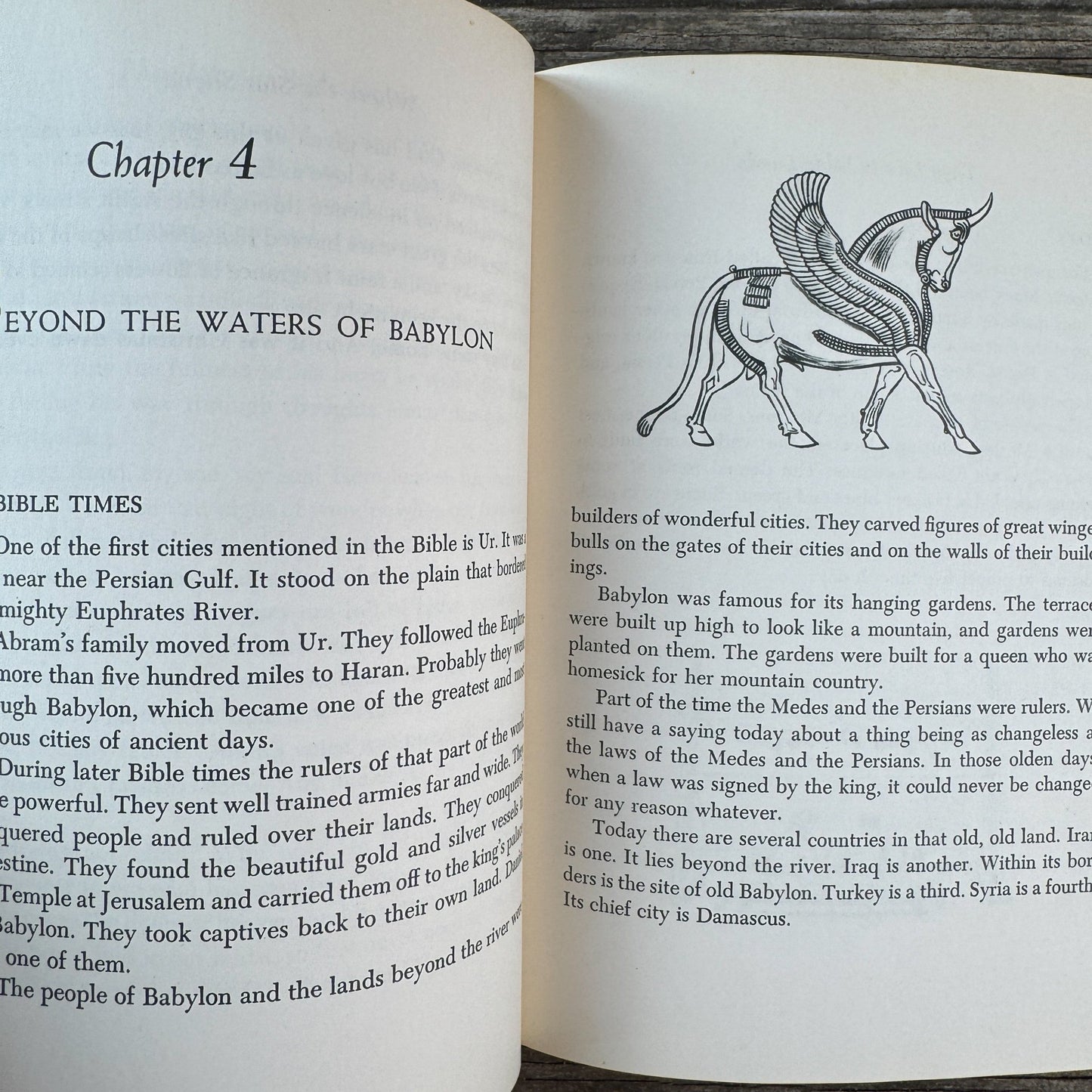 They Live in Bible Lands, Grace W. McGavran, 1950 - Pretty Old Books