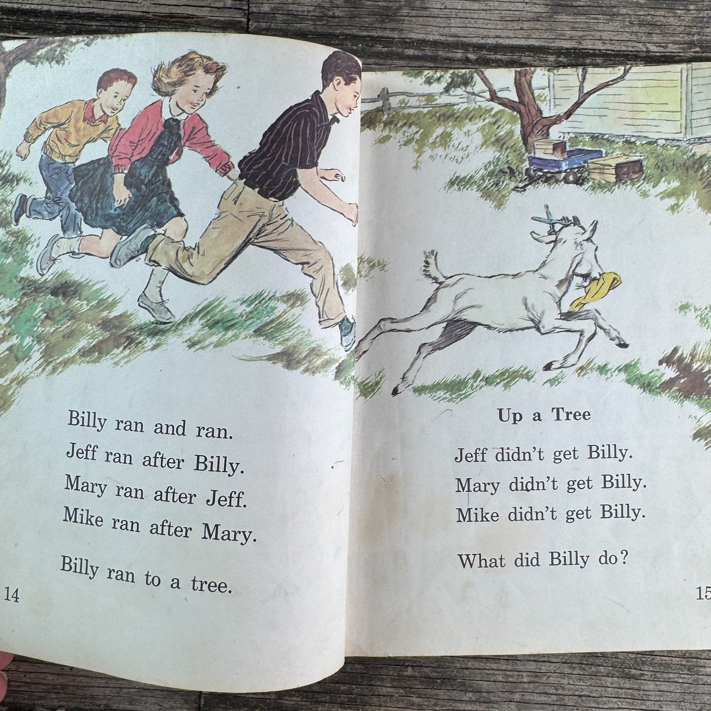 Things You See, 1965 School Primer - Pretty Old Books