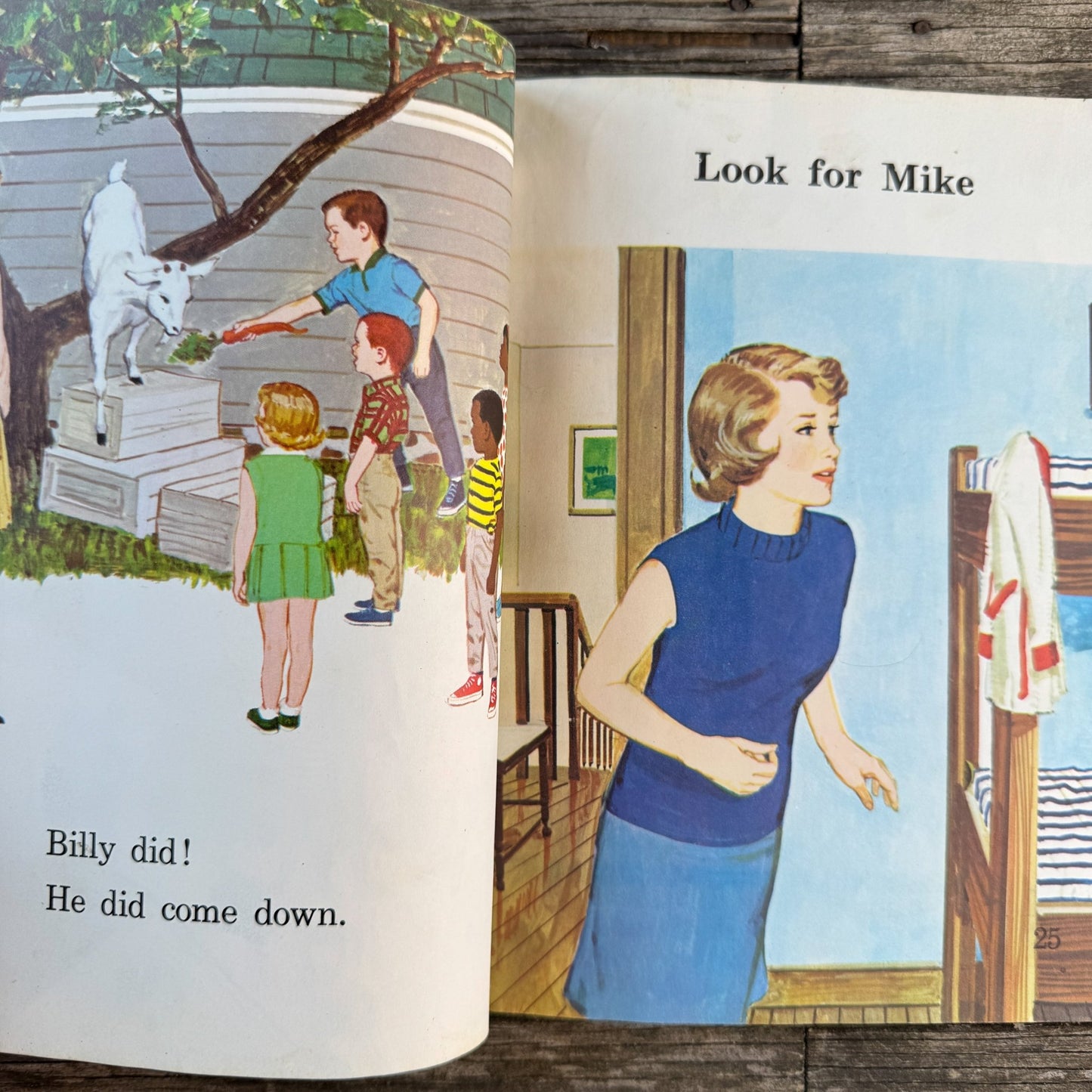 Things You See, Mae Knight Clark, Macmillan Reading Program, 1970 - Pretty Old Books