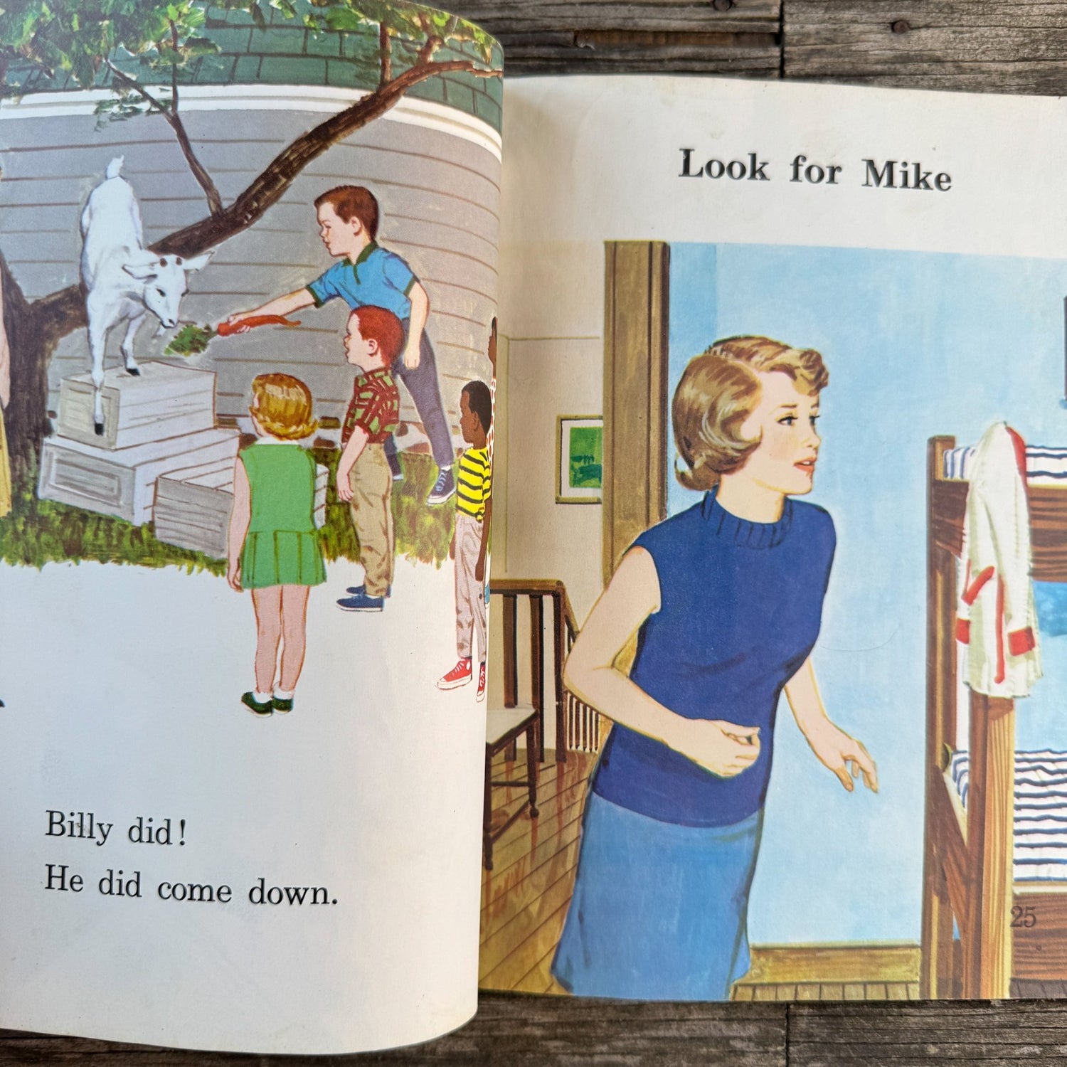 Things You See, Mae Knight Clark, Macmillan Reading Program, 1970 - Pretty Old Books