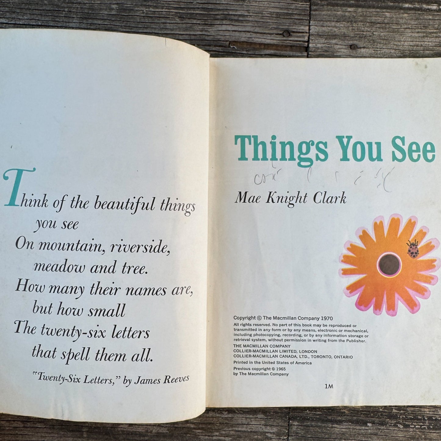Things You See, Mae Knight Clark, Macmillan Reading Program, 1970 - Pretty Old Books