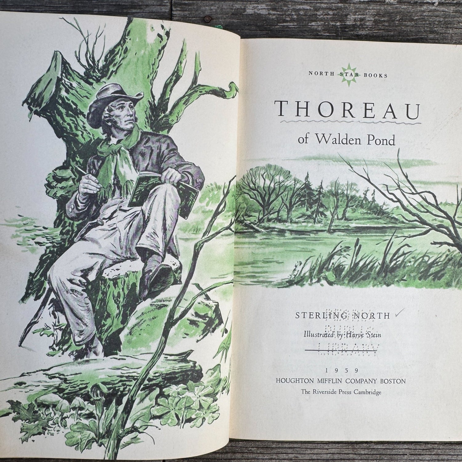 Thoreau of Walden Pond, 1959 Juvenile Biography - Pretty Old Books