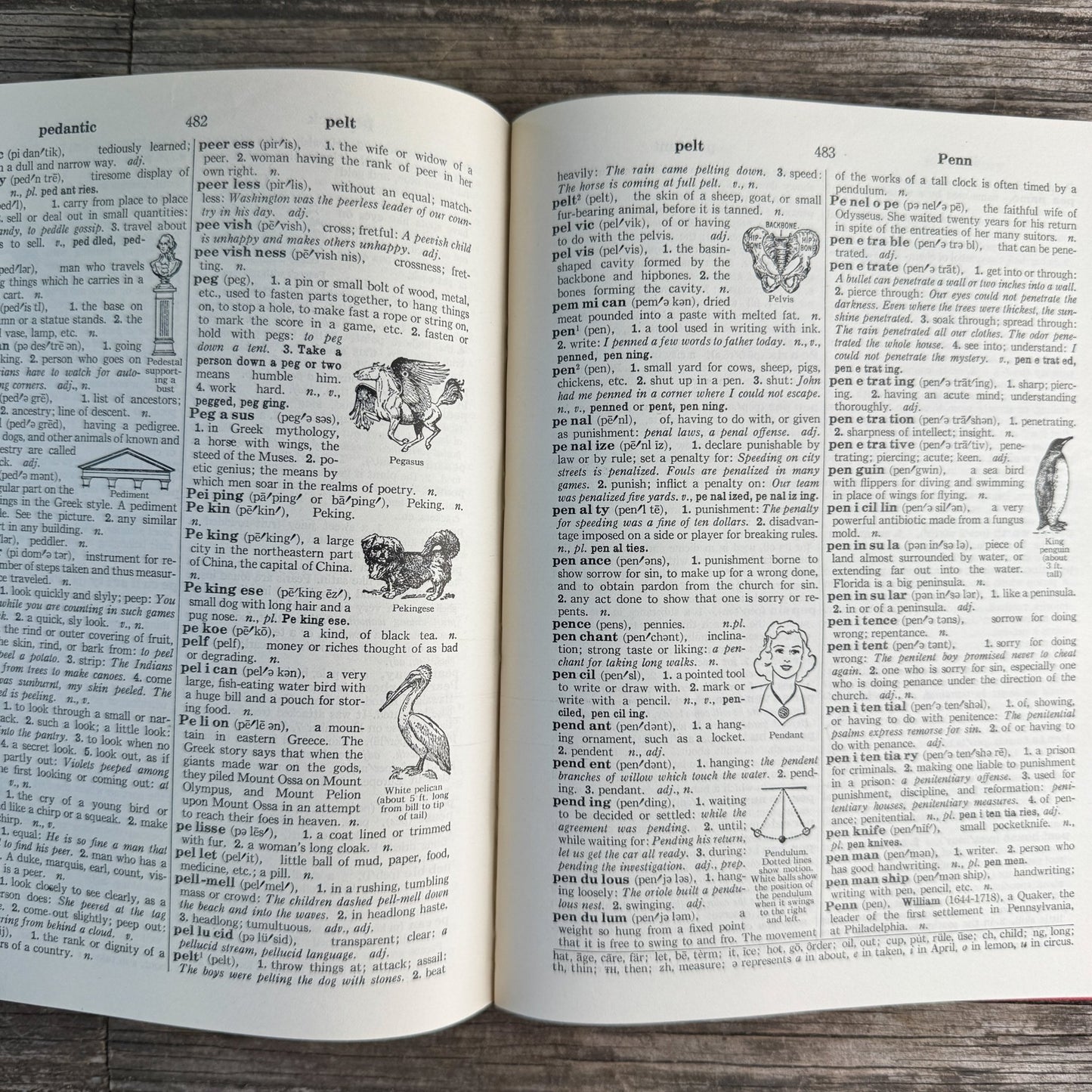 Thorndike-Barnhart Junior Dictionary, E.L. Thorndike and Clarence L. Barnhart, Seventh Edition, 1968 - Pretty Old Books