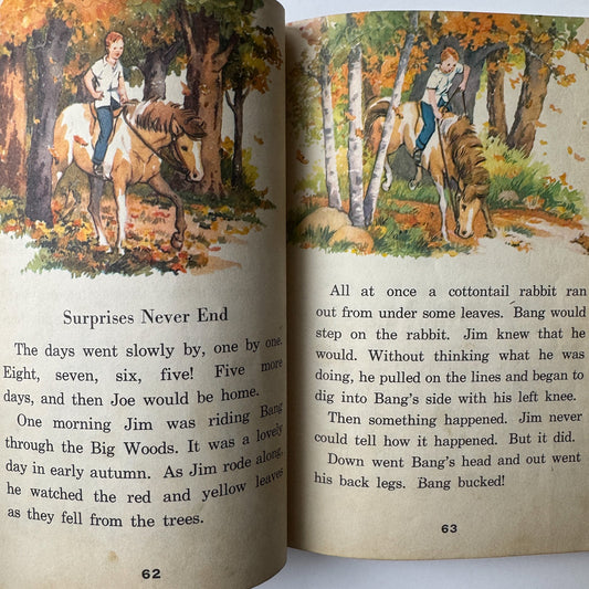 Through the Green Gate, Alice and Jerry, 1957 School Reader - Pretty Old Books
