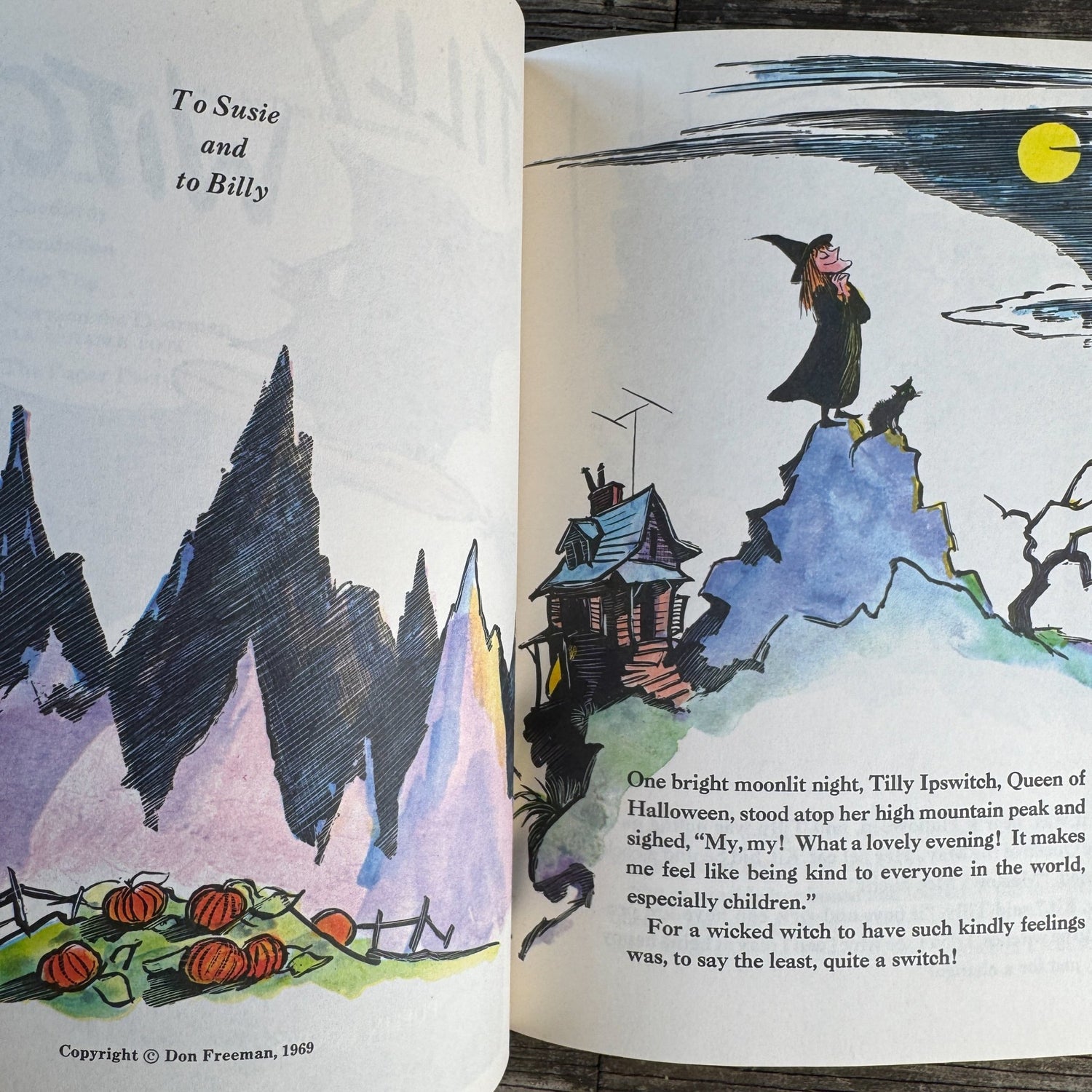 Tilly Witch, Don Freeman, 1969 Puffin Paperback - Pretty Old Books