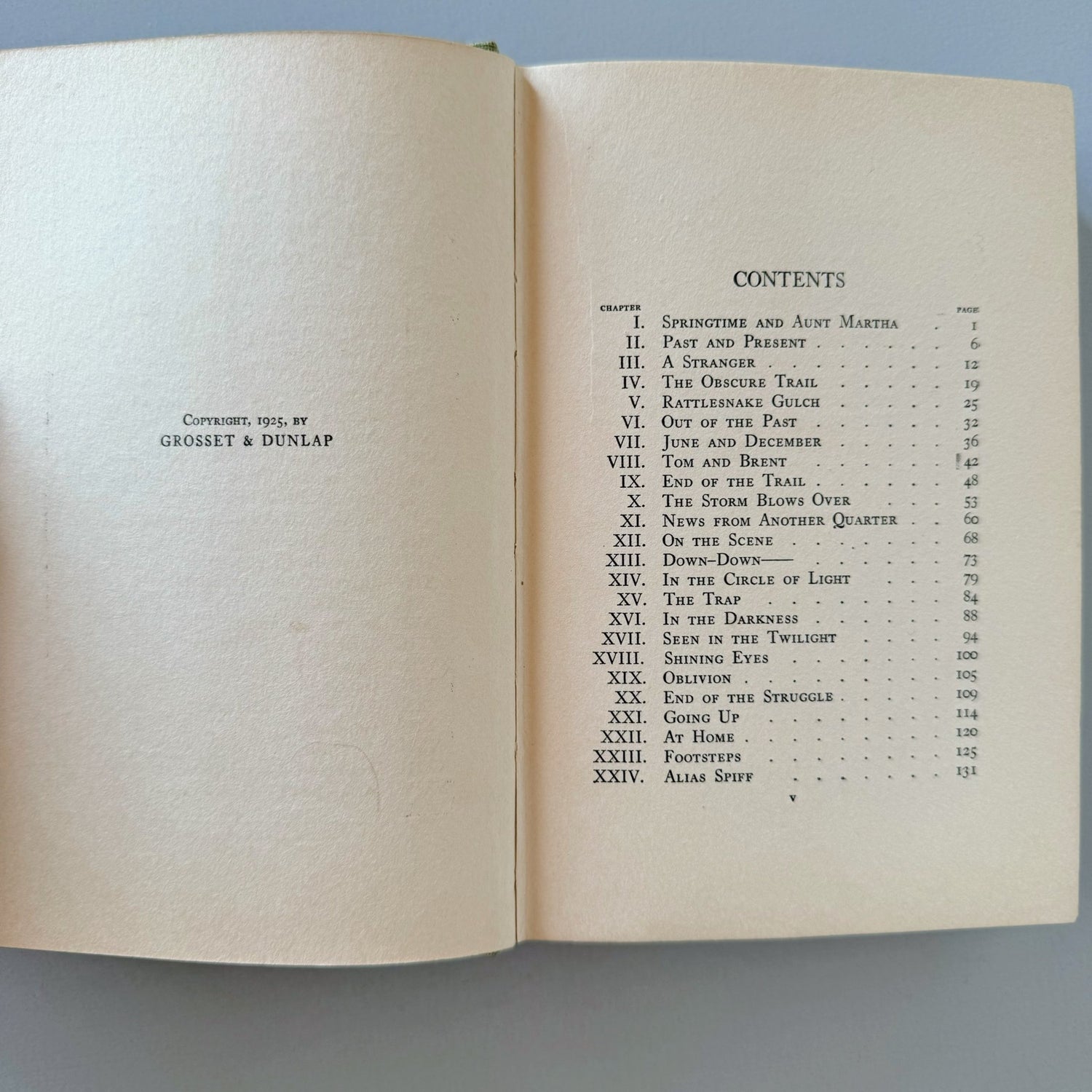 Tom Slade at Bear Mountain, Percy Keese Fitzhugh, Boy Scout Book, 1925 - Pretty Old Books
