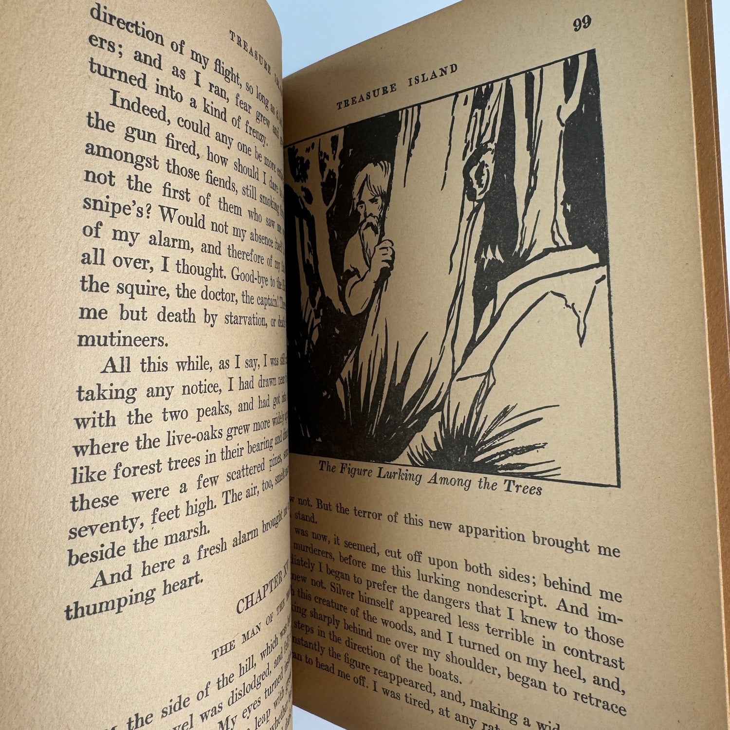 Treasure Island, Robert Louis Stevenson, Whitman Publishing, Illustrated with Jacket - Pretty Old Books