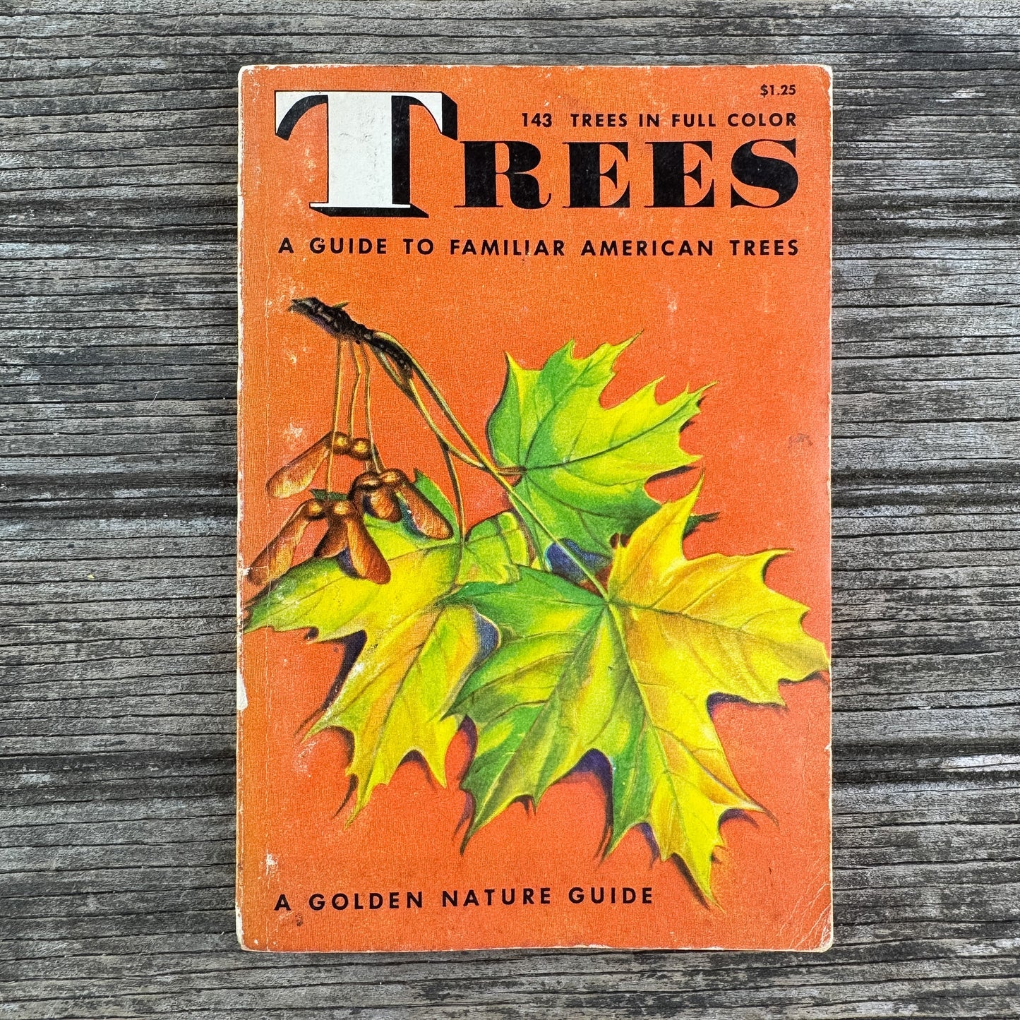 Trees, A Golden Guide, 1956 - Pretty Old Books