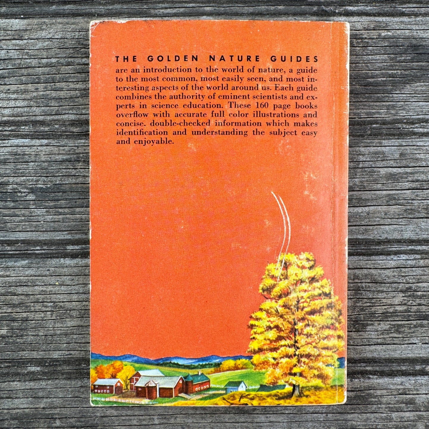 Trees, A Golden Guide, 1956 - Pretty Old Books