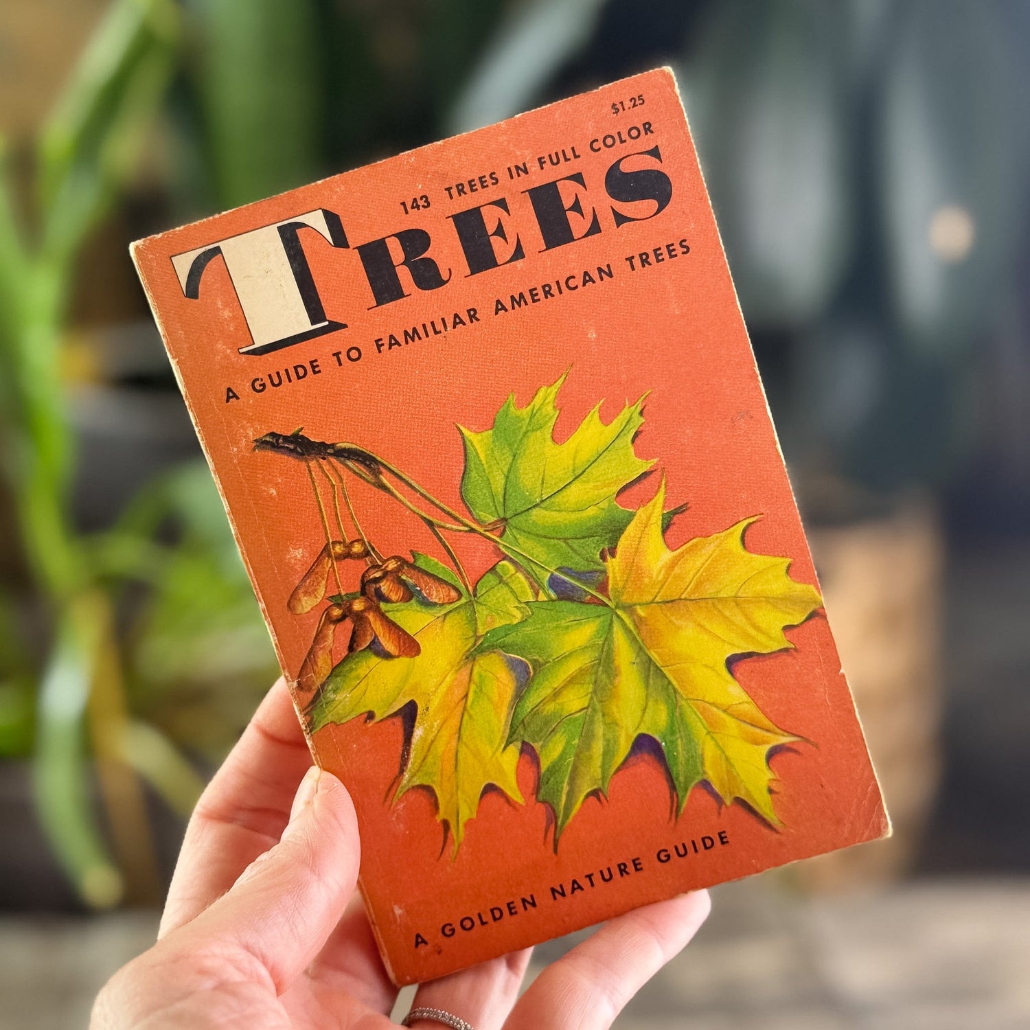 Trees, A Golden Guide, 1956 - Pretty Old Books