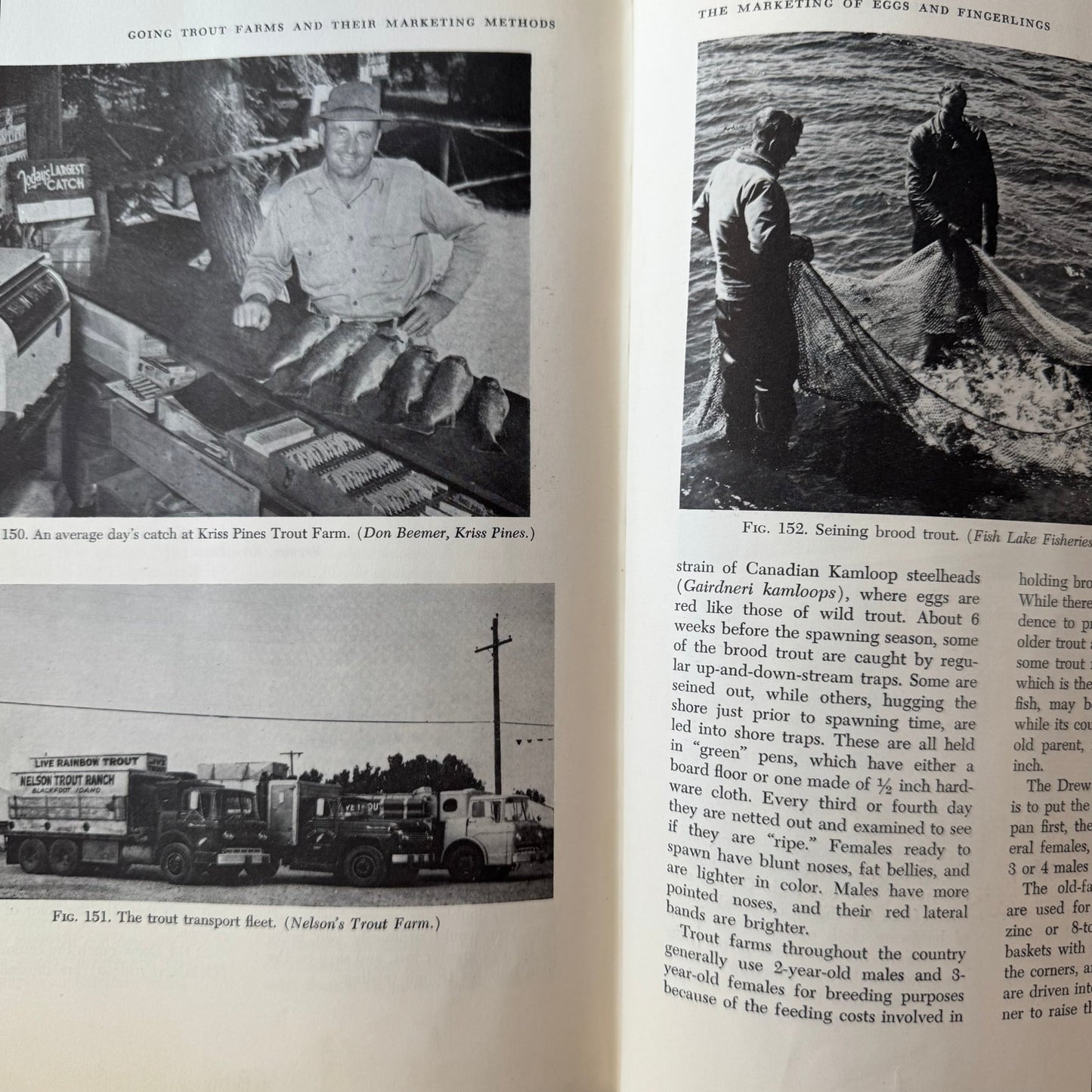 Trout Farming: First Complete Textbook on Trout Farming, David B. Greenberg, 1960 - Pretty Old Books