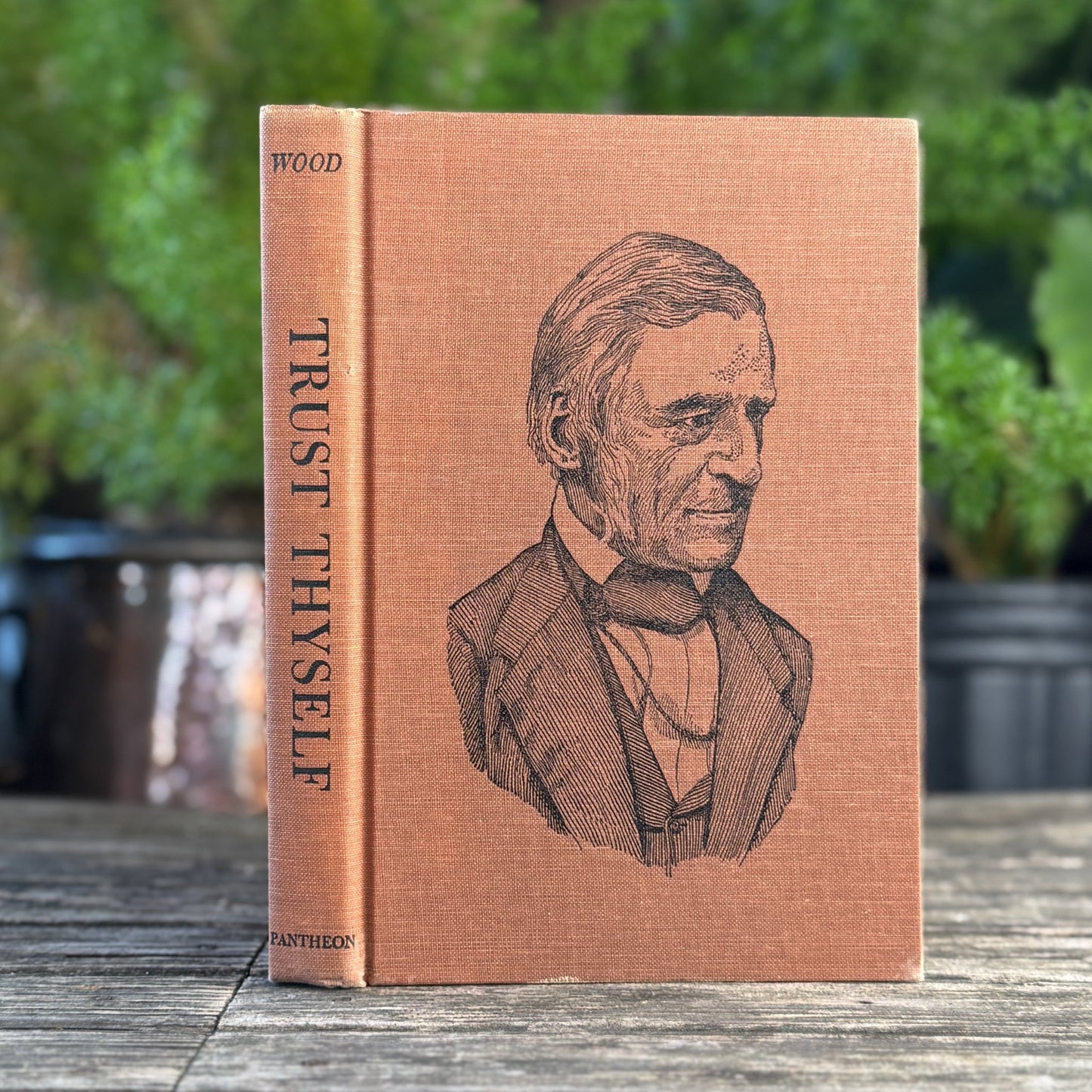Trust Thyself: A Life of Ralph Waldo Emerson for Young People - Pretty Old Books