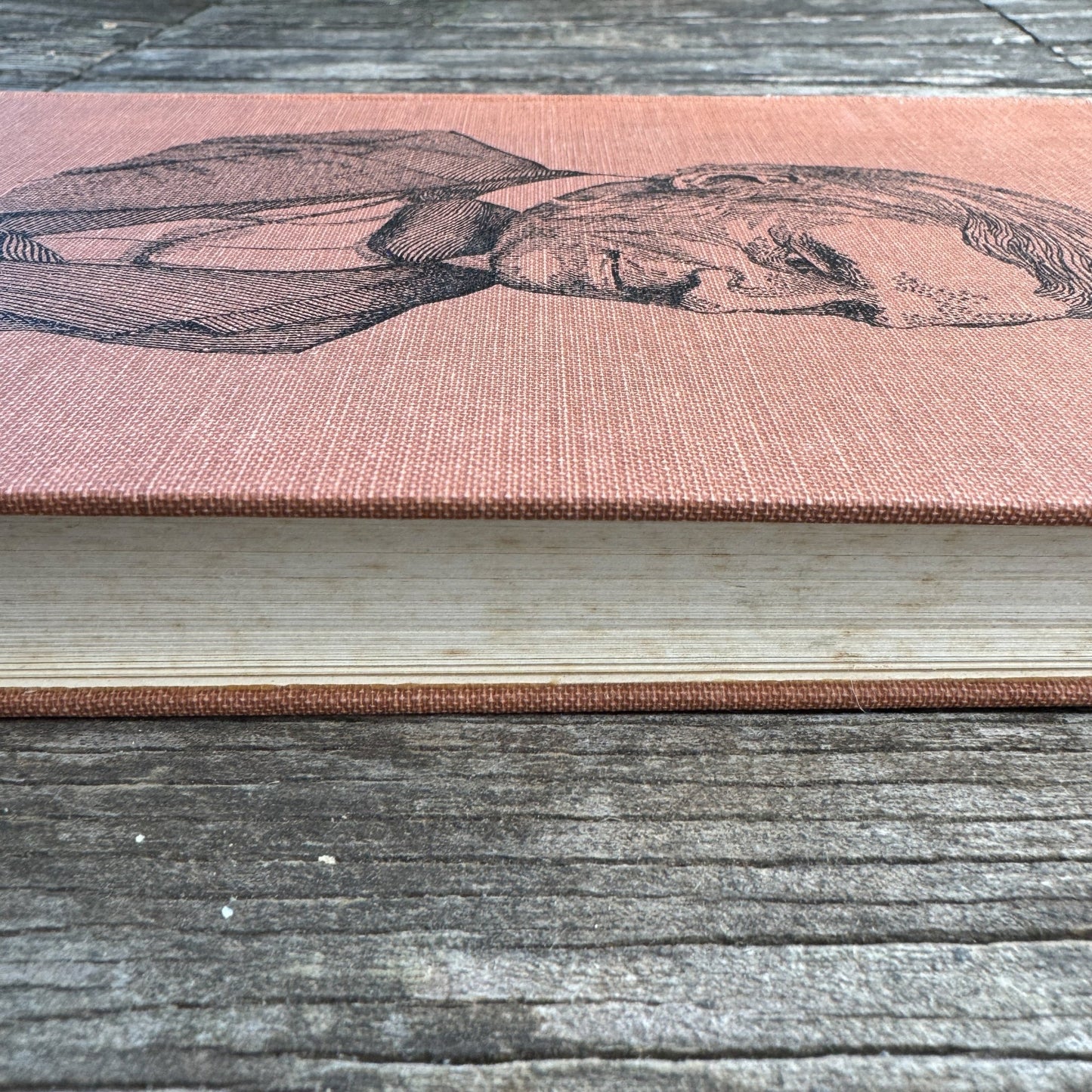 Trust Thyself: A Life of Ralph Waldo Emerson for Young People - Pretty Old Books